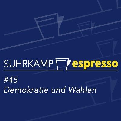 #45 Demokratie und Wahlen
