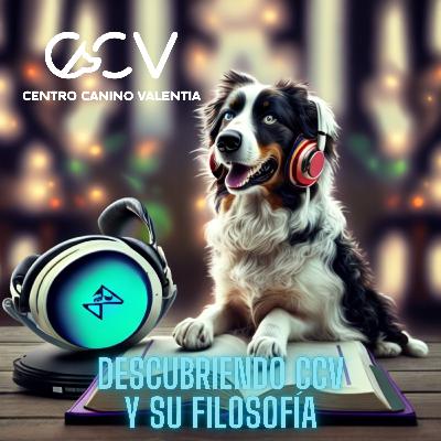 Descubriendo el centro canino Valentia y su filosofía, primeros consejos.