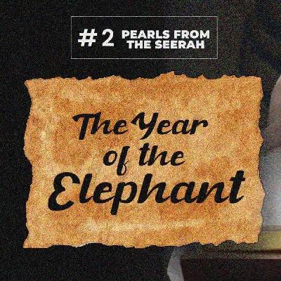 02 - The Year of the Elephant