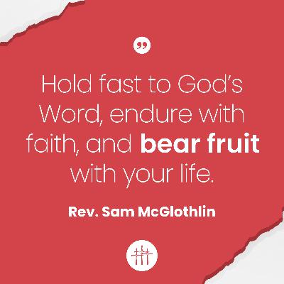 Parables - "The Parable of the Seeds" by Rev. Sam McGlothlin Parables - "The Parable of the Seeds" by Rev. Sam McGlothlin