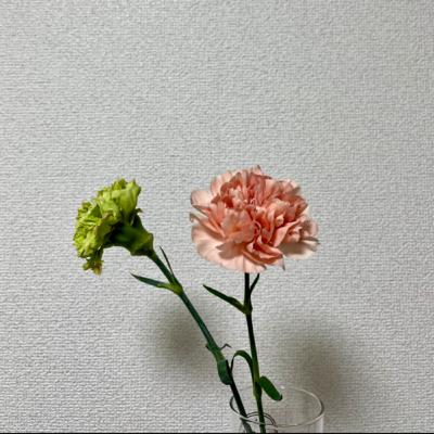 余談60. stressmountain.jp