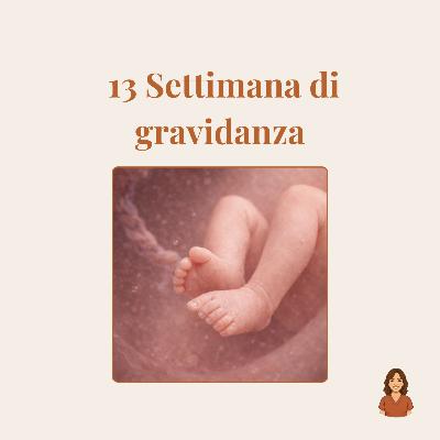 13 settimana di gravidanza: sintomi, sviluppo del feto e inizio secondo trimestre 13 settimana di gravidanza: sintomi, sviluppo del feto e inizio secondo trimestre