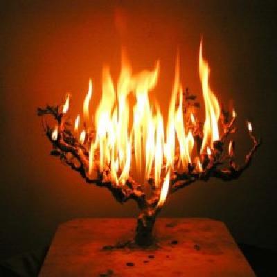 Rischa D'Araisa-Season 10-Episode 2-Hashgacha Pratis GPS-Was that Errant Turn the Right One?- The Besht and Chazon Ish