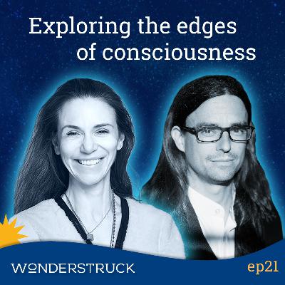 21: Dr. Àlex Gómez-Marín - Tuning into the Edges of Consciousness