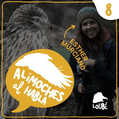 Migradora, esteparia y amenazada, con Esther Murciano #08