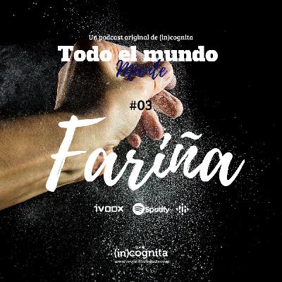 T1_P03 Fariña