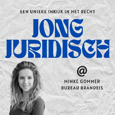 Minke Gommer - Gaza-oorlog, het Genocideverdrag, de rol van Nederland, je uitspreken als advocaat, het Associatieverdrag en heftige mishandeling
