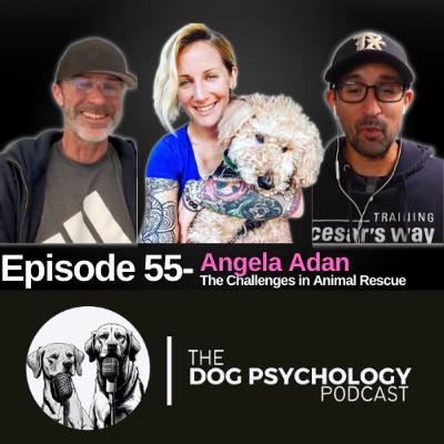 The Dog Psychology Podcast #055 Angela Adan Share the Challenges in Animal Rescue