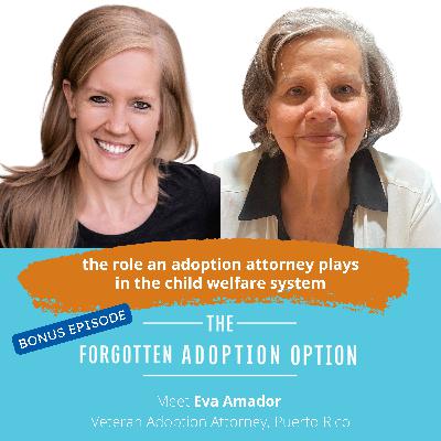 the role an adoption attorney plays in the child welfare system