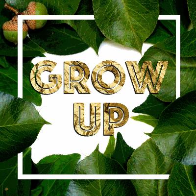 Ep 007: Traveling & Working Internationally Ep 007: Traveling & Working Internationally