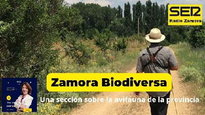 Hoy por Hoy Zamora – Zamora Biodiversa (14/11/2025)