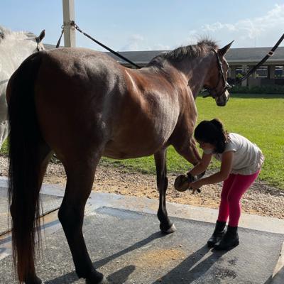 Riding camp fundraiser