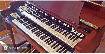 Apa Kabar Gajah Sumatera?