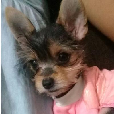 22: La historia de Missy y su misión de vida