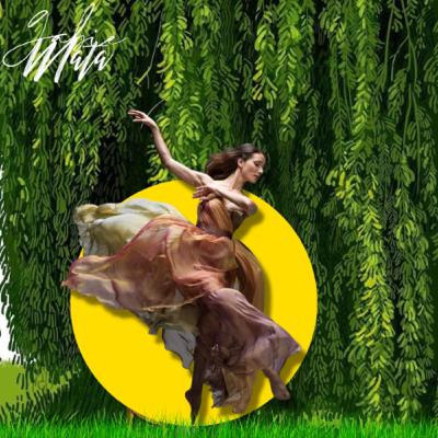 Ordenando la covacha!! 🦄