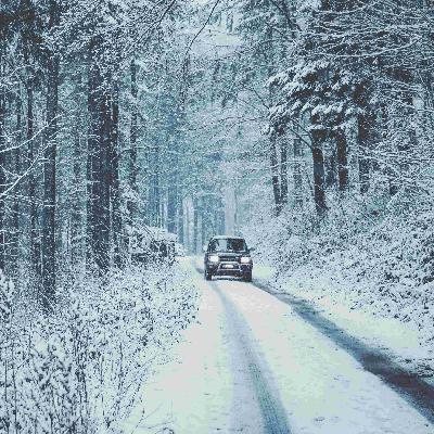 Frost - Ein eiskalter Plan