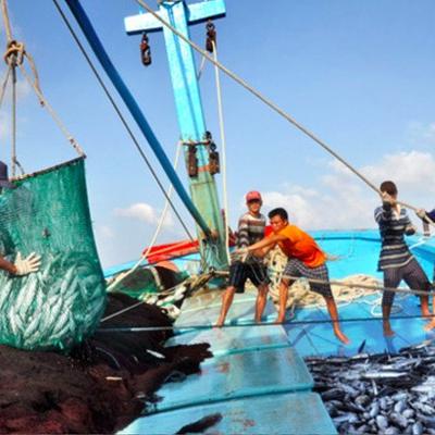 Câu chuyện thời sự - Kinh tế biển Việt Nam hướng tới chuẩn xanh, phát triển bền vững từ nỗ lực gỡ thẻ vàng "IUU" Câu chuyện thời sự - Kinh tế biển Việt Nam hướng tới chuẩn xanh, phát triển bền vững từ nỗ lực gỡ thẻ vàng "IUU"
