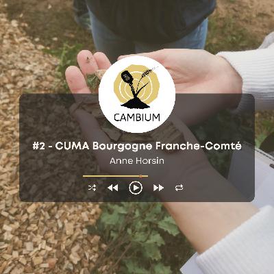 #2 - La CUMA : un outil pour l'innovation collective en agroforesterie, avec Anne Horsin