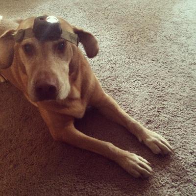 Lenny Girl