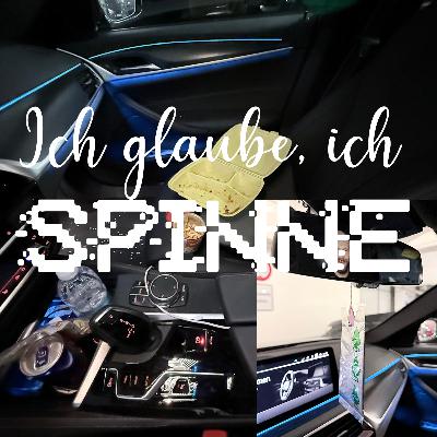 Wenn Security-Experten sich selbst austricksen
