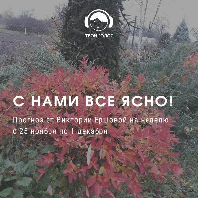 Прогноз 25.11-01.12.2019 Прогноз 25.11-01.12.2019