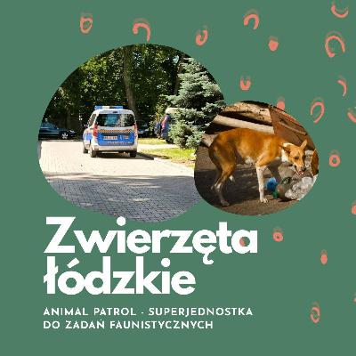 Superjednostka do zadań Faunistycznych | Animal Patrol Straży Miejskiej w Łodzi | Zwierzęta łódzkie Superjednostka do zadań Faunistycznych | Animal Patrol Straży Miejskiej w Łodzi | Zwierzęta łódzkie
