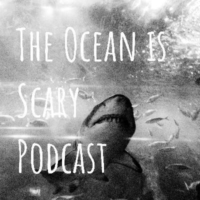 The Mysterious Disappearance of Free Diver Natalia Molchanova The Mysterious Disappearance of Free Diver Natalia Molchanova