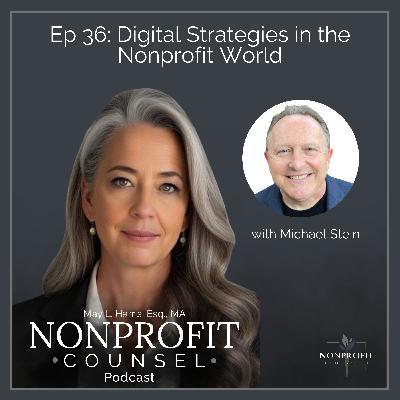 Digital Strategies in the Nonprofit World with Michael Stein