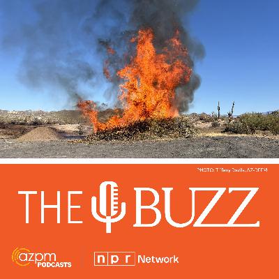 Preventing catastrophic wildfires Preventing catastrophic wildfires