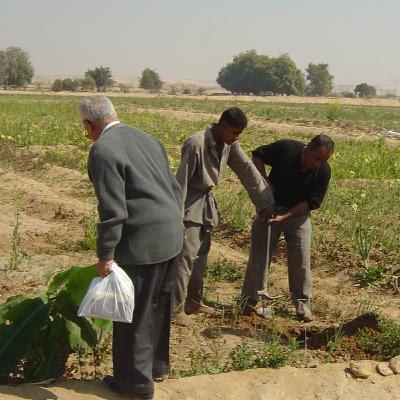 Oefening: De kracht van frequenties Oefening: De kracht van frequenties