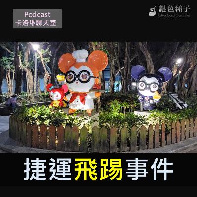 捷運飛踢事件【卡洛琳聊天室】第28季第11集 捷運飛踢事件【卡洛琳聊天室】第28季第11集