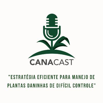 ESTRATÉGIA EFICIENTE PARA MANEJO DE PLANTAS DANINHAS DE DIFÍCIL CONTROLE