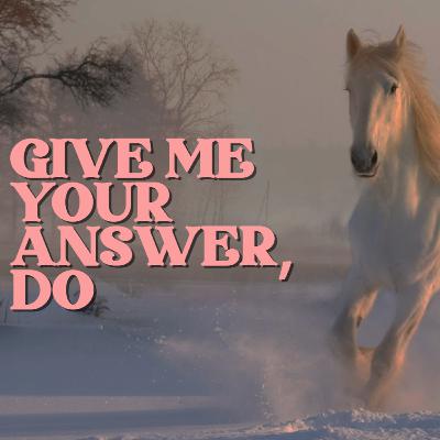 Give Me Your Answer, Do by Peter Marchant (Book Review)