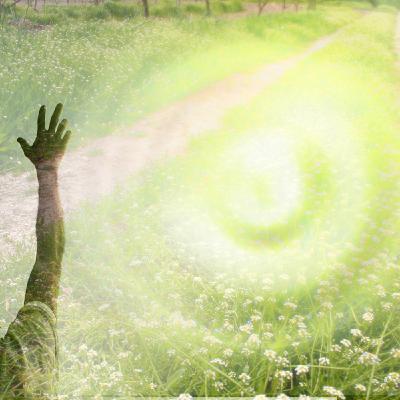 Looking for Hope