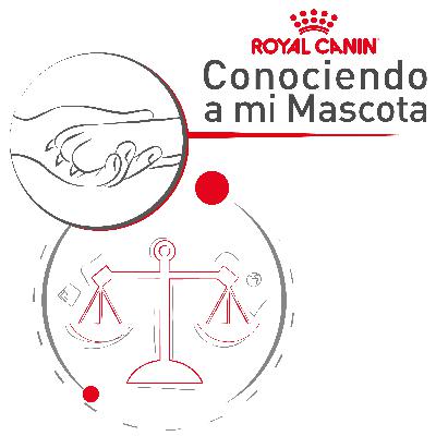 ¿Qué contienen los alimentos para mascotas?