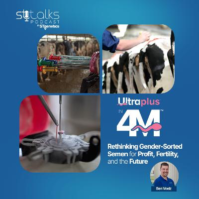 STtalks #362 - Rethinking Gender-Sorted Semen for Profit, Fertility, and the Future with Ben Voelz