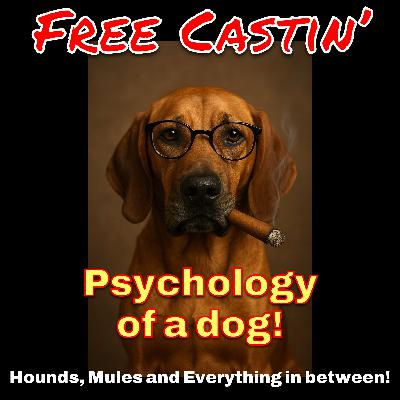 Psychology of a dog Pt2 Psychology of a dog Pt2
