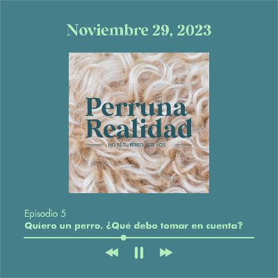 Perruna Realidad#5: Quiero un perro. ¿Qué debo tomar en cuenta?