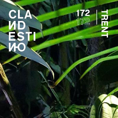 Clandestino 172 - Trent