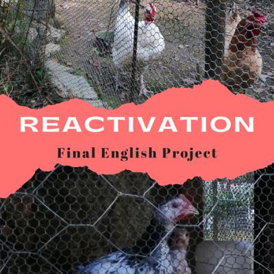 Introduction to Reactivation | Darius Jael