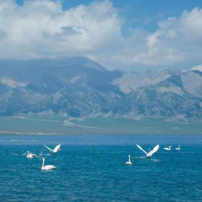 #4 Bạn có yêu công việc hiện tại?