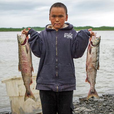 Fischen verboten – Der Kampf um die Lachse von Alaska
