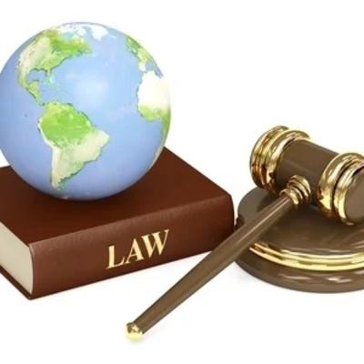 Keeping Ringo Safe - Is Family Court Doing What’s Best for a Child Keeping Ringo Safe - Is Family Court Doing What’s Best for a Child