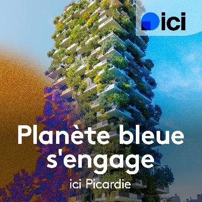 Transport ferroviaire et biodiversité
