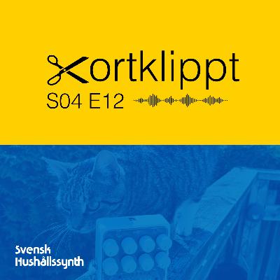 #75 Synthgnissel, gladsynth och minifestivaler