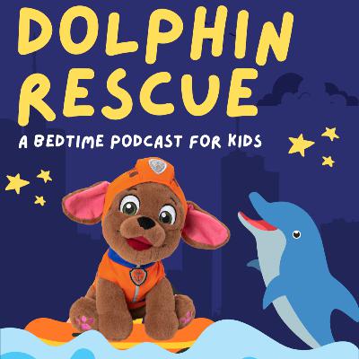 Paw Patrol: Dolphin Rescue
