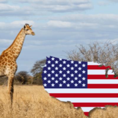 The Kruger for US Tourists: A Comprehensive Guide