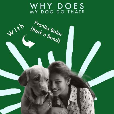 Friday Talks with Pranita Balar - why does my dog do that? Friday Talks with Pranita Balar - why does my dog do that?