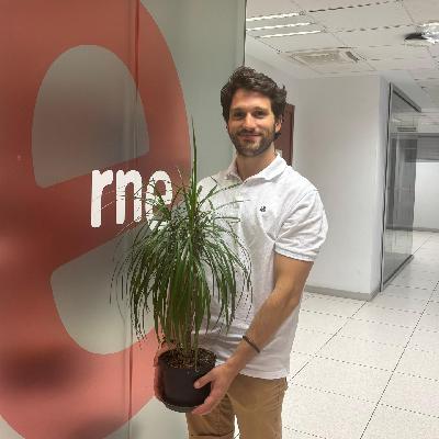 Podría ser peor - 2H - Plantas de RNE y arquitectura que no existe - 28/08/25