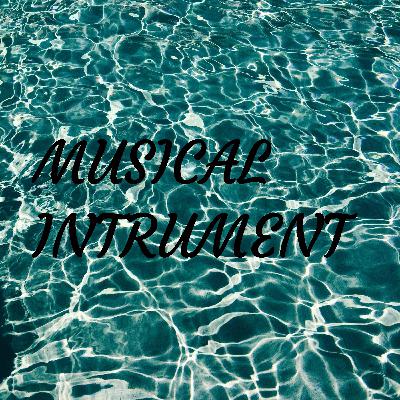 MUSICAL INSTRUMENT